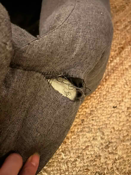 Photo of free Medium sized dog car seat (London E10) #2