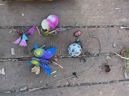 Photo of free Garden Items 2 (Los Altos Hills) #1