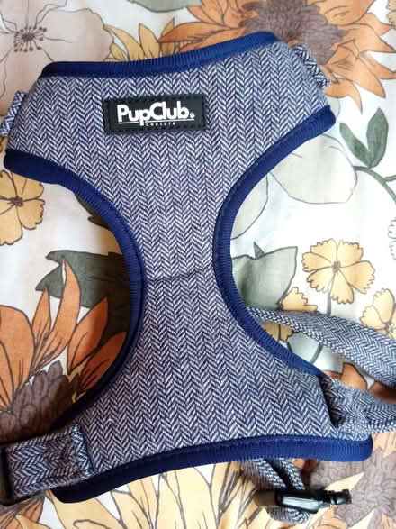Photo of free XS Dog harness (Slateford EH14) #3