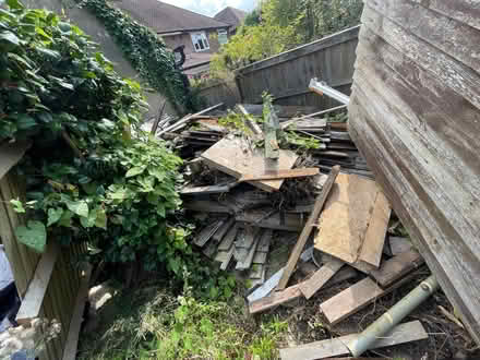 Photo of free Random wood (CT1) #2