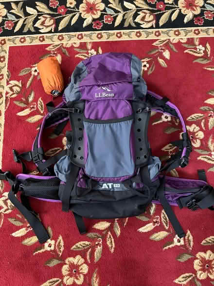 Photo of free L.L.Bean Hiking Backpack (East Arlington) #1