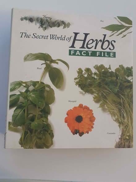 Photo of free Herb fact file. (Pakefield NR33) #2