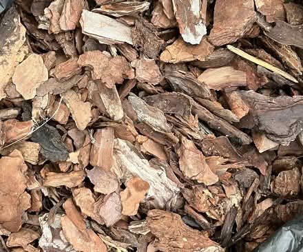 Photo of free Bark (Havant PO9) #1