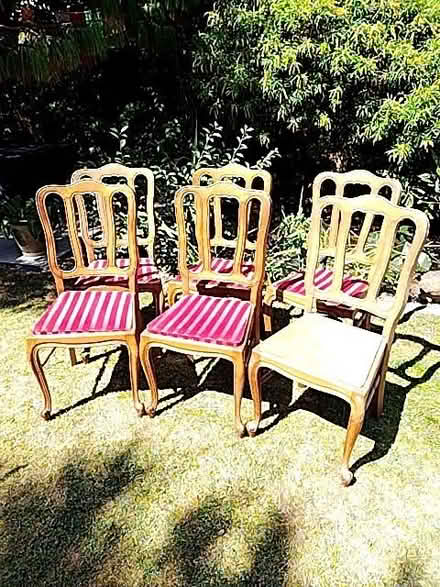 Photo of free 6 dining room chairs (Old Town TN40) #2
