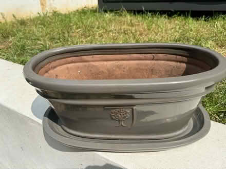 Photo of free RHS plant pot (Weybridge, KT13) #2