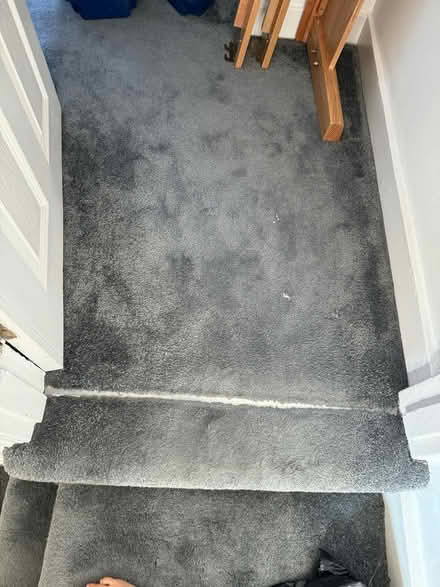 Photo of free Carpet grey fluffy (DA7) #2