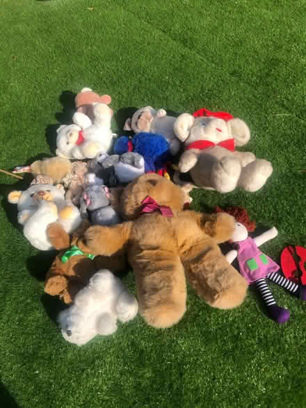 Photo of free Lots of cuddly toys (Horsham RH12) #1