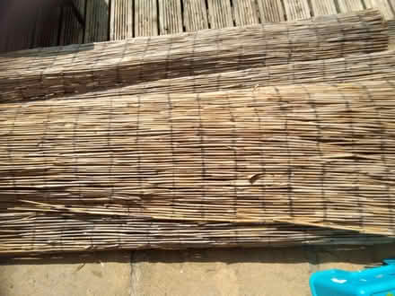 Photo of free Reed matting (West Green, Crawley) #1