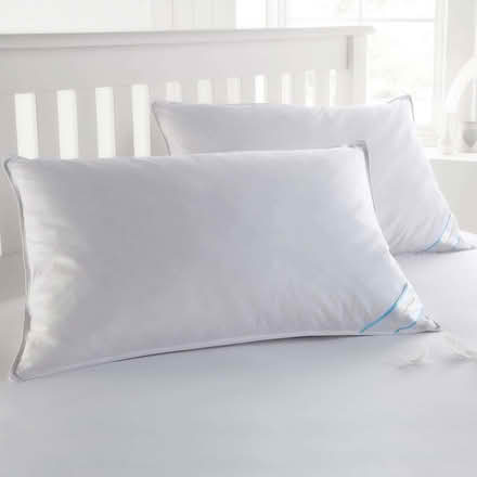 Photo of free White pillows for pet bedding (nr Rye park) (London Rd, HW HP11) #1