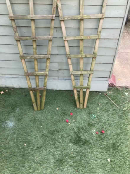 Photo of free 2 trellis’ (Balham) #1