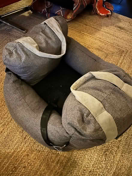 Photo of free Medium sized dog car seat (London E10) #1