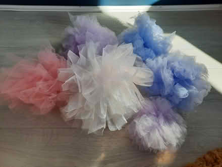 Photo of free Pom Poms (EH17 Gilmerton) #1