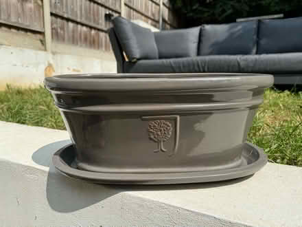 Photo of free RHS plant pot (Weybridge, KT13) #1