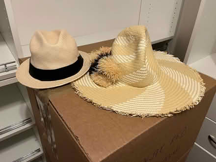 Photo of free Straw hats - 2 (Silver Spring, MD) #1