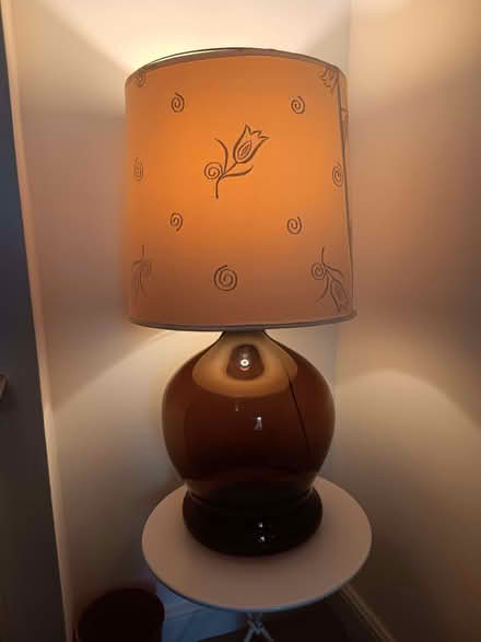 Photo of free Large glass lamp base and shade (Golden Triangle NR2) #1