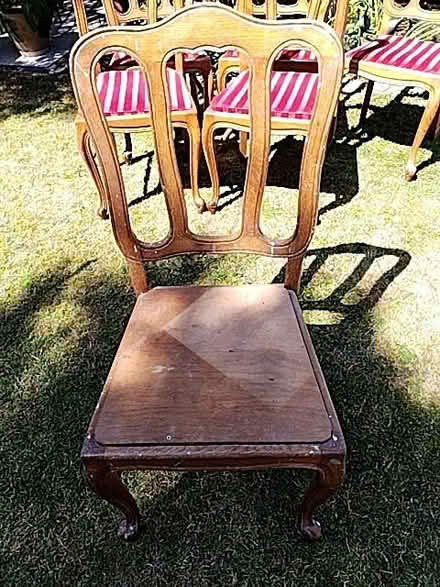 Photo of free 6 dining room chairs (Old Town TN40) #3