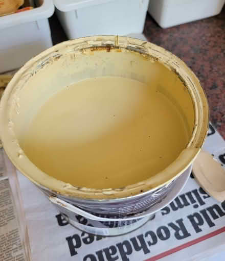 Photo of free Chalky wall paint - Hollingdean (Lower Bevendean BN1) #1