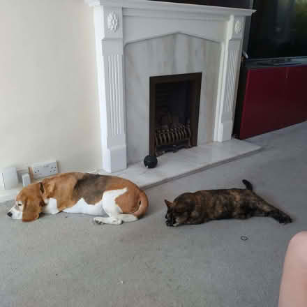Photo of free Fireplace mantle and marble hearth (North Town SL6) #1