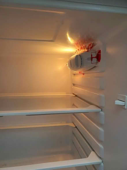 Photo of free Hotpoint under counter fridge (EX16 6NW) #3