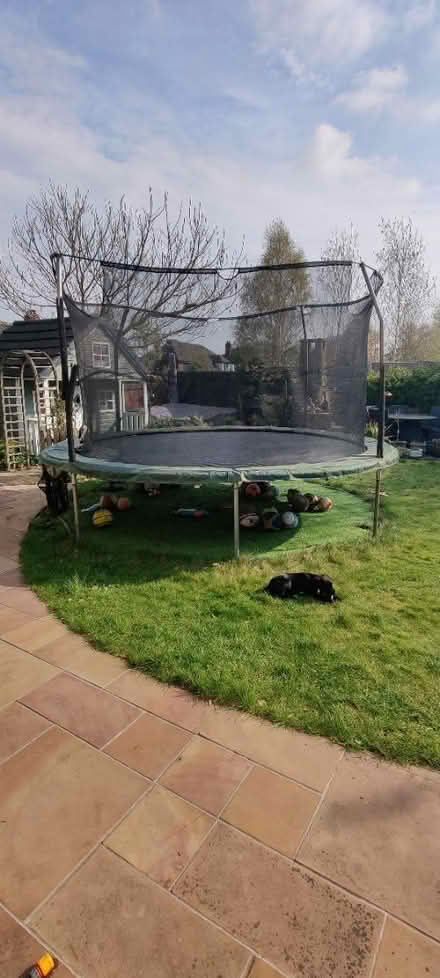 Photo of free 14' JumpKing Trampoline with net (Stockton Heath, WA4) #3