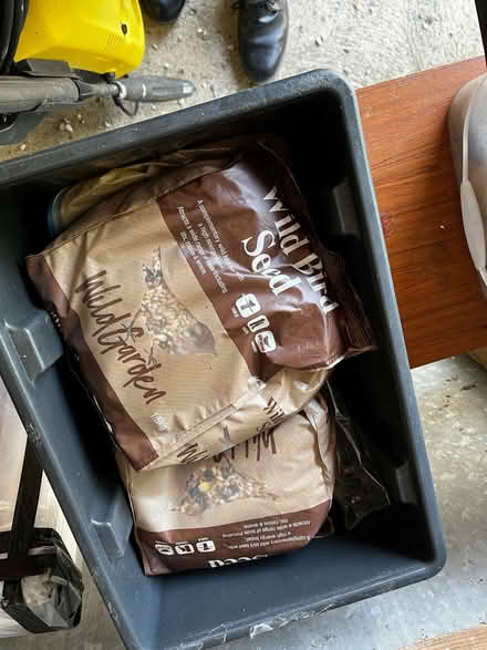 Photo of free Wild Bird food (Little Totham CM9) #2