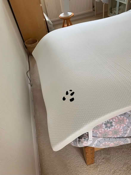 Photo of free King size mattress topper (Chesham HP5) #1