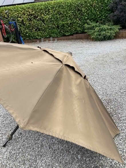 Photo of free Garden parasol/patio umbrella (Buckley CH7) #4