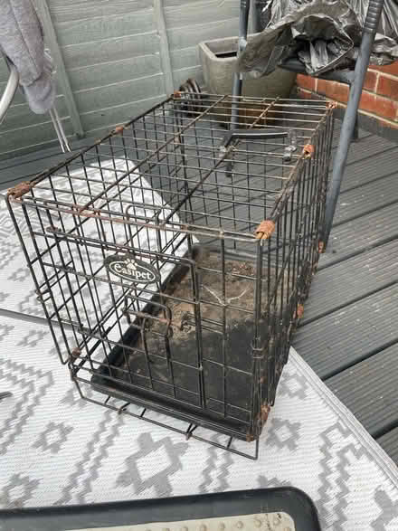 Photo of free Cat cage (Axminster flax meadow) #1
