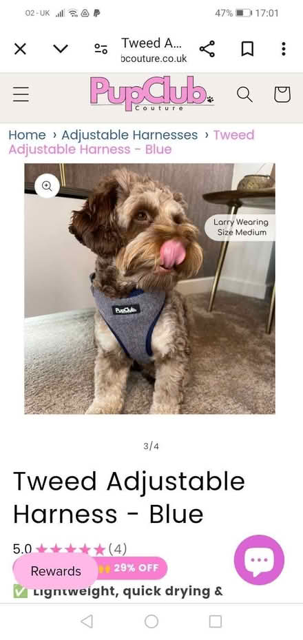 Photo of free XS Dog harness (Slateford EH14) #1