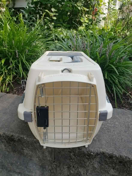 Photo of free Kitten or other Small Pet Carrier (East Arlington) #1