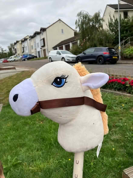 Photo of free Toy horse (Exeter Stoke hill) #1