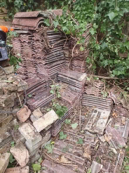 Photo of free 500+ roof tiles (Colliers wood, SW19) #3