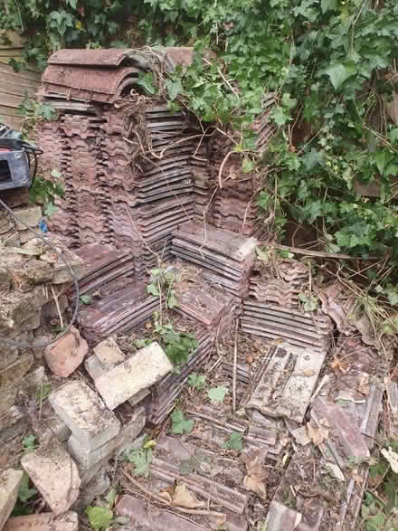 Photo of free 500+ roof tiles (Colliers wood, SW19) #2