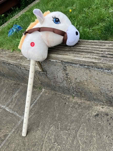Photo of free Toy horse (Exeter Stoke hill) #3
