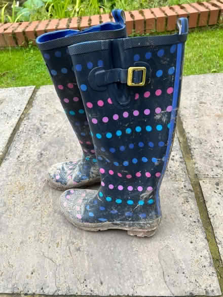 Photo of free Wellies (Woofferton SY8) #1
