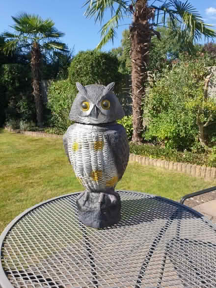 Photo of free Owl garden ornament (Welwyn Garden city) #1