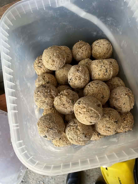 Photo of free Wild Bird food (Little Totham CM9) #1