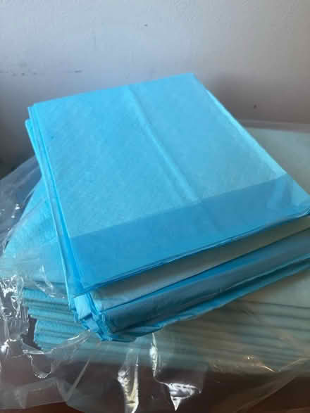 Photo of free Disposable Mat/Bed pads (Lisle) #1