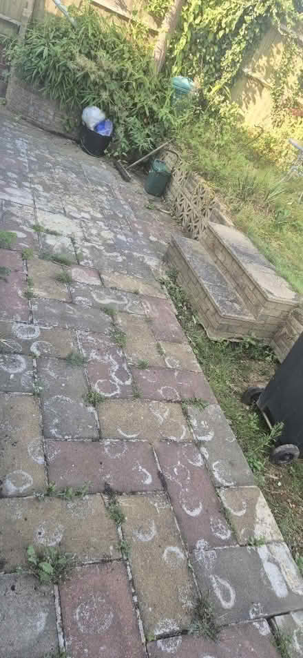 Photo of free Old paving (BR4) #1