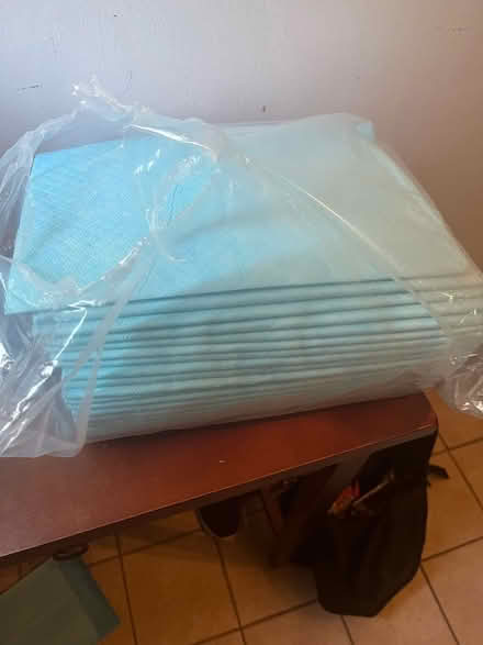 Photo of free Disposable Mat/Bed pads (Lisle) #2