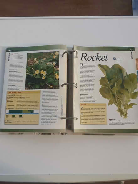 Photo of free Herb fact file. (Pakefield NR33) #3