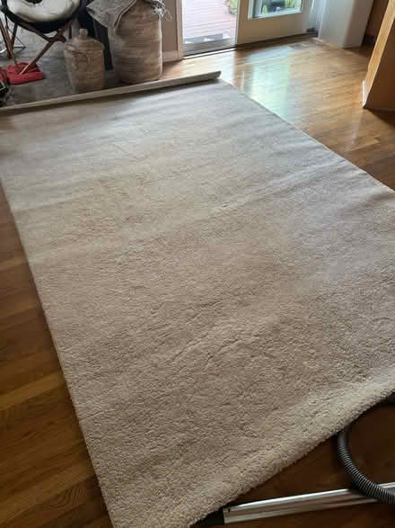 Photo of free Ikea Stonese Rug Beige 6’7” x 9’10” (Saratoga) #3