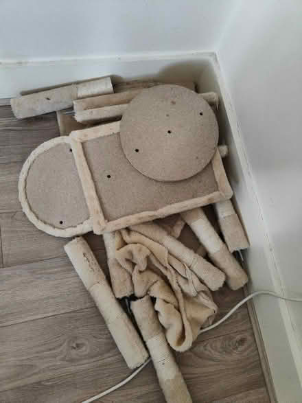 Photo of free Cat tree (SW12) #1