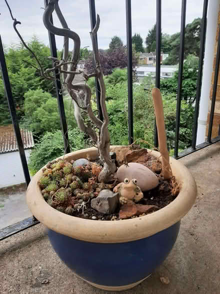 Photo of free Pot with dried plant and ornaments (Allesley Park CV5) #2