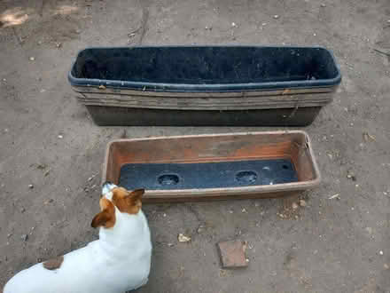 Photo of free Terracotta coloured planters with drainage layer (IP4) #1