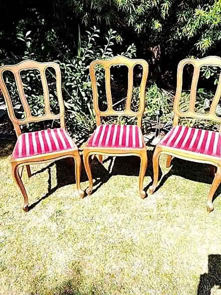 Photo of free 6 dining room chairs (Old Town TN40) #1