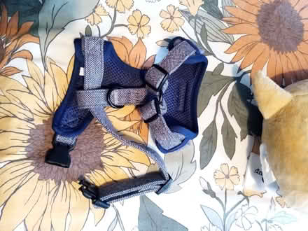 Photo of free XS Dog harness (Slateford EH14) #4