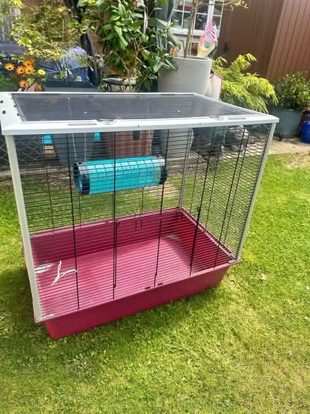 Photo of free Large cage (Monkwick CO2) #1