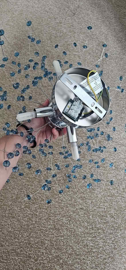 Photo of free Ceiling Light (Hailsham BN27) #3