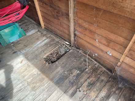 Photo of free Garden shed (Tilgate RH10) #2